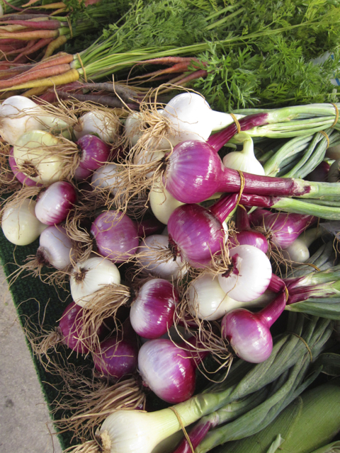 Sweet onions