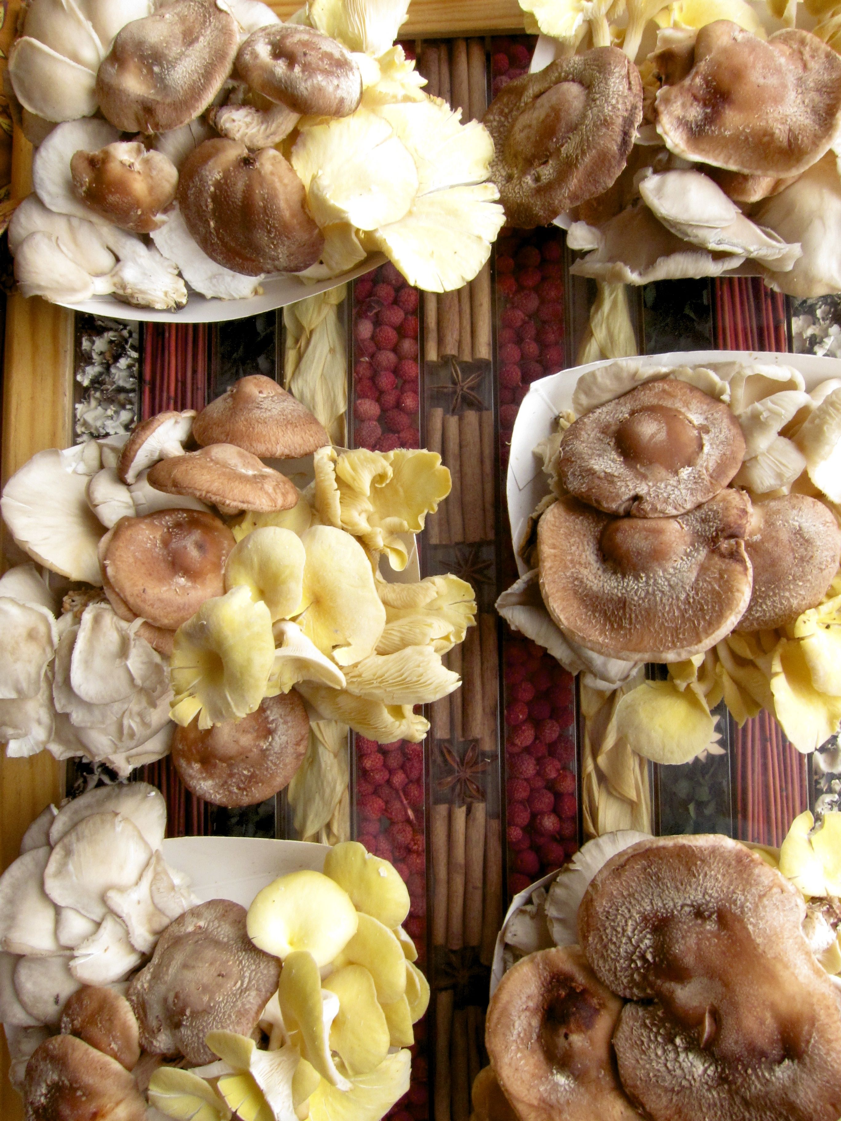 Wild mushrooms