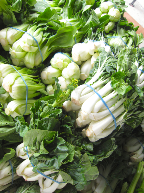Bok choy