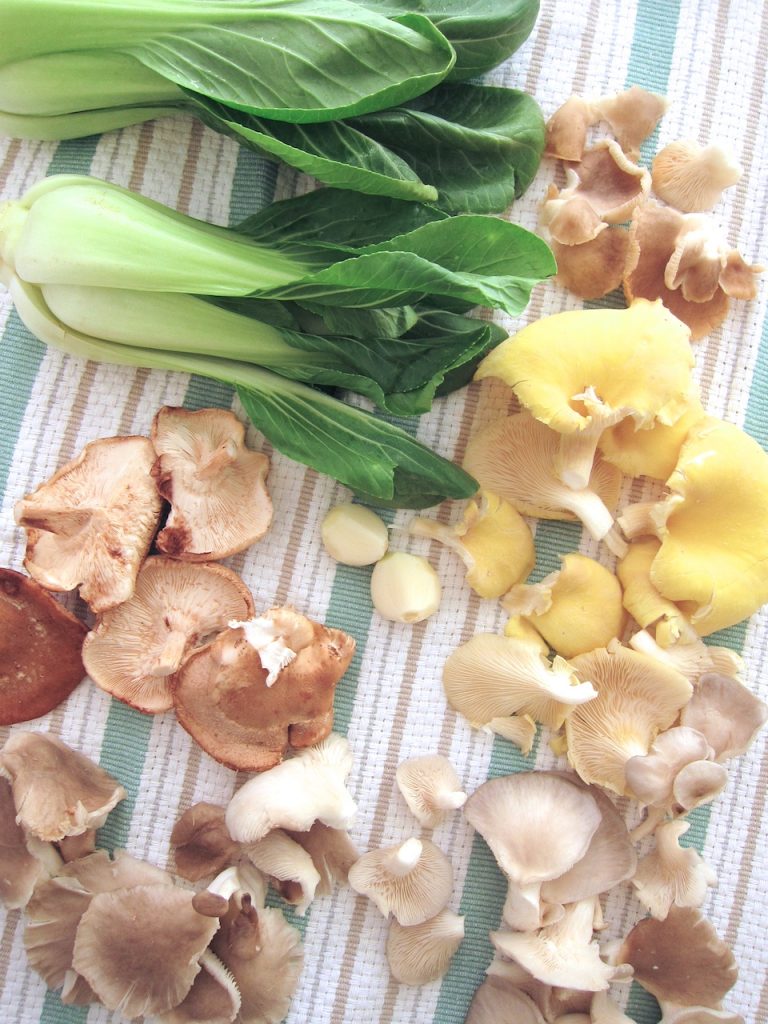 Wild and Exotic Mushrooms