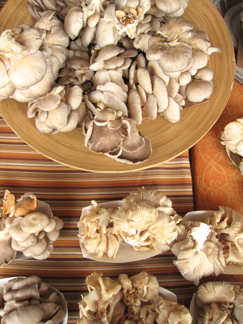 Wild mushrooms at the farmer’s market