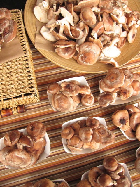 Wild mushrooms at the farmer’s market