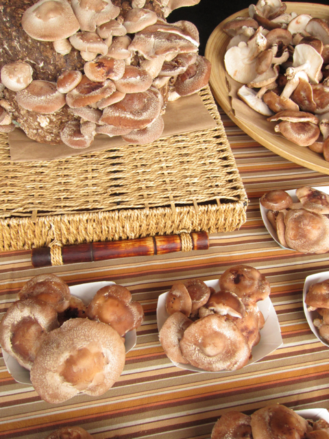 Wild mushrooms at the farmer’s market
