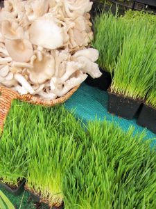 wild mushrooms and wheat grass at the farmers market