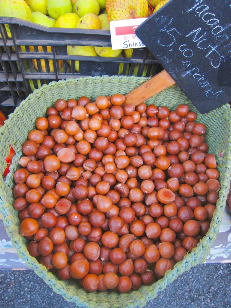 macadamia nuts in shells