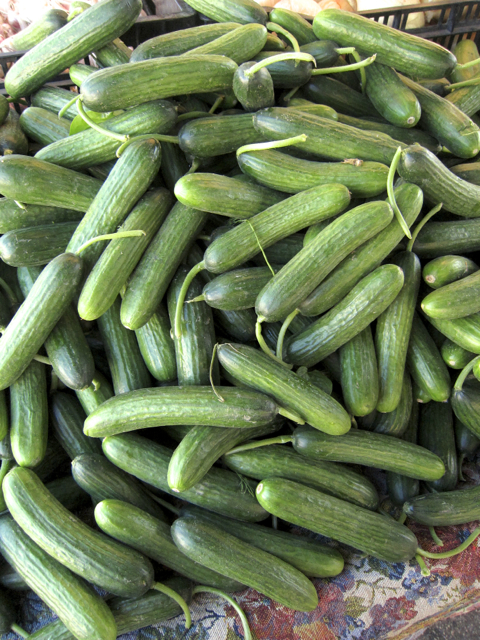 Persian cucumbers