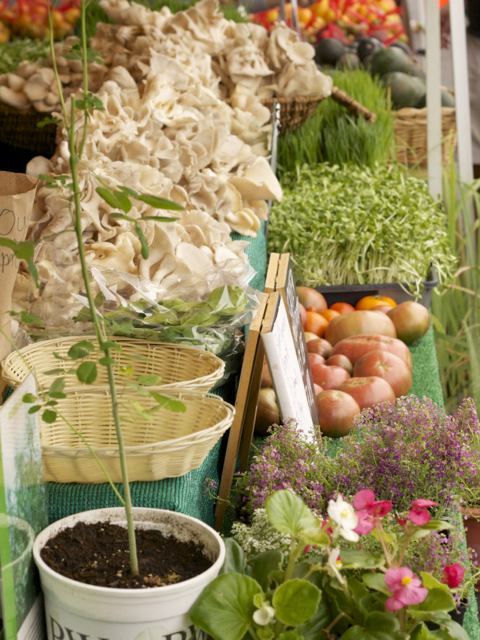 Wild mushrooms at the farmer’s market