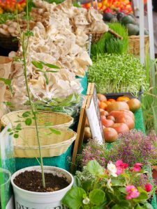 wild mushrooms at the farmers market