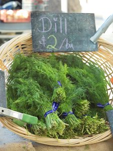 dill at the farmers market