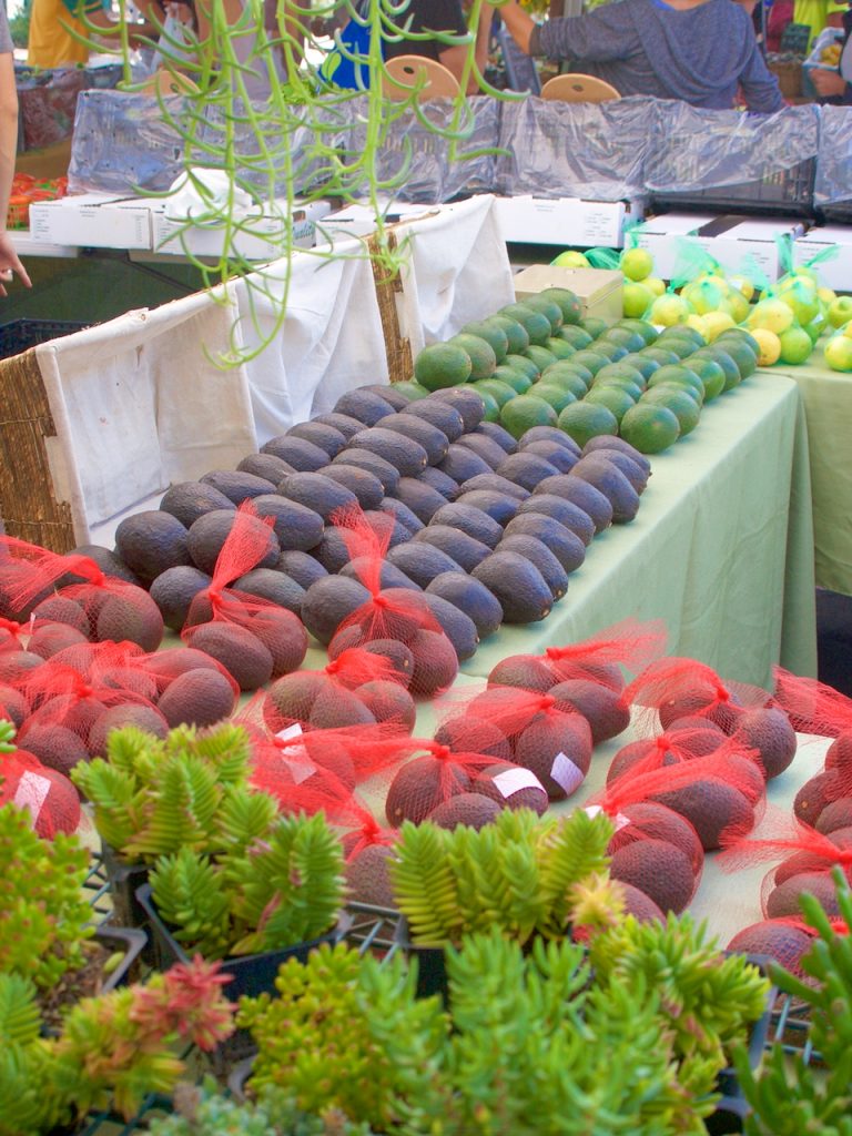 avocados at the farmers market