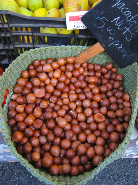 macadamia nuts