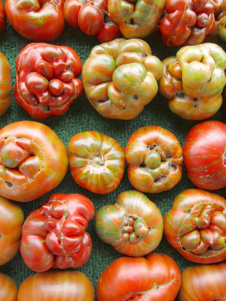 striped chocolate tomatoes