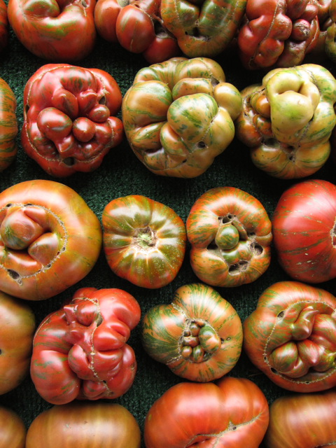 striped chocolate tomatoes