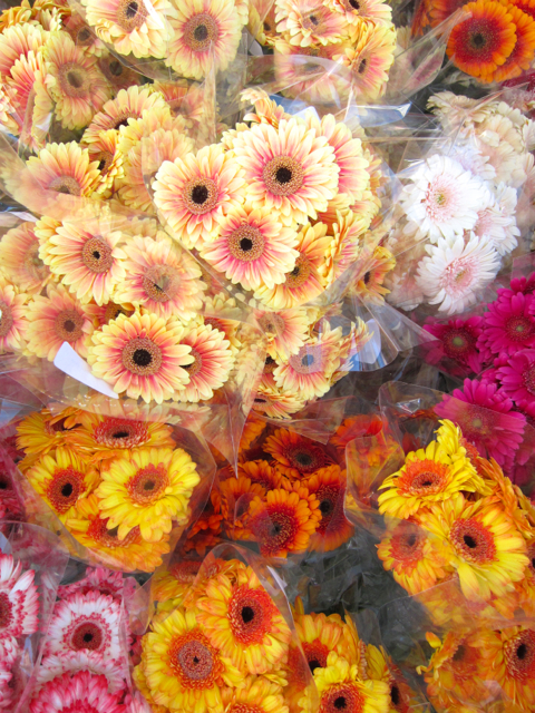 Flowers for the table