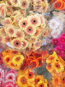 flowers at the farmers market