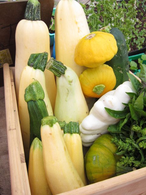 cube of butter squash in box