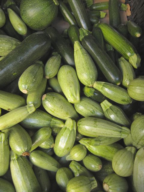 light green squash