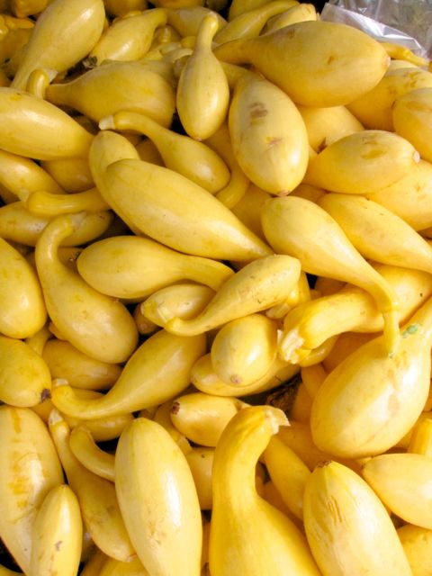crookneck squash
