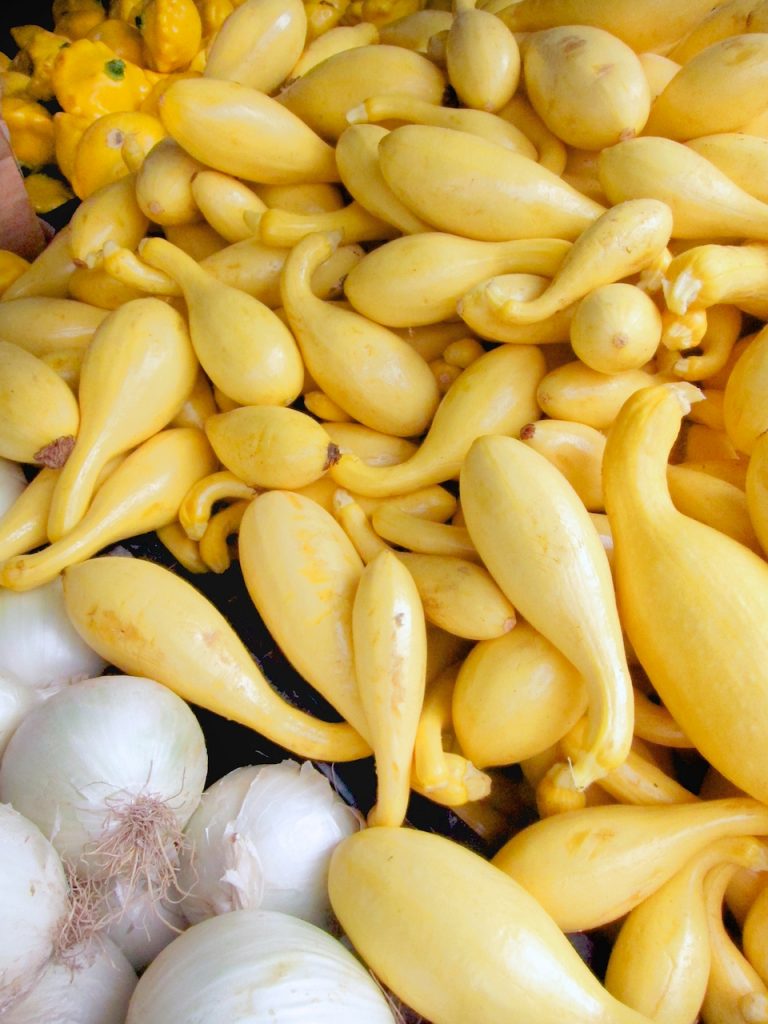 crook neck squash