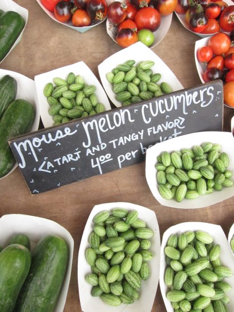 mouse melon cucumbers