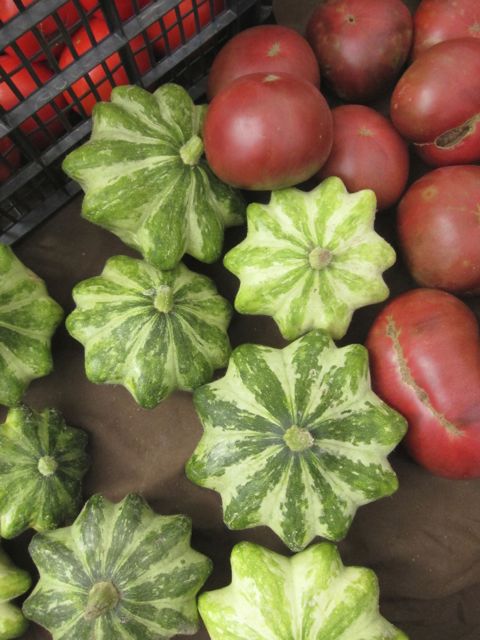 UFO squash
