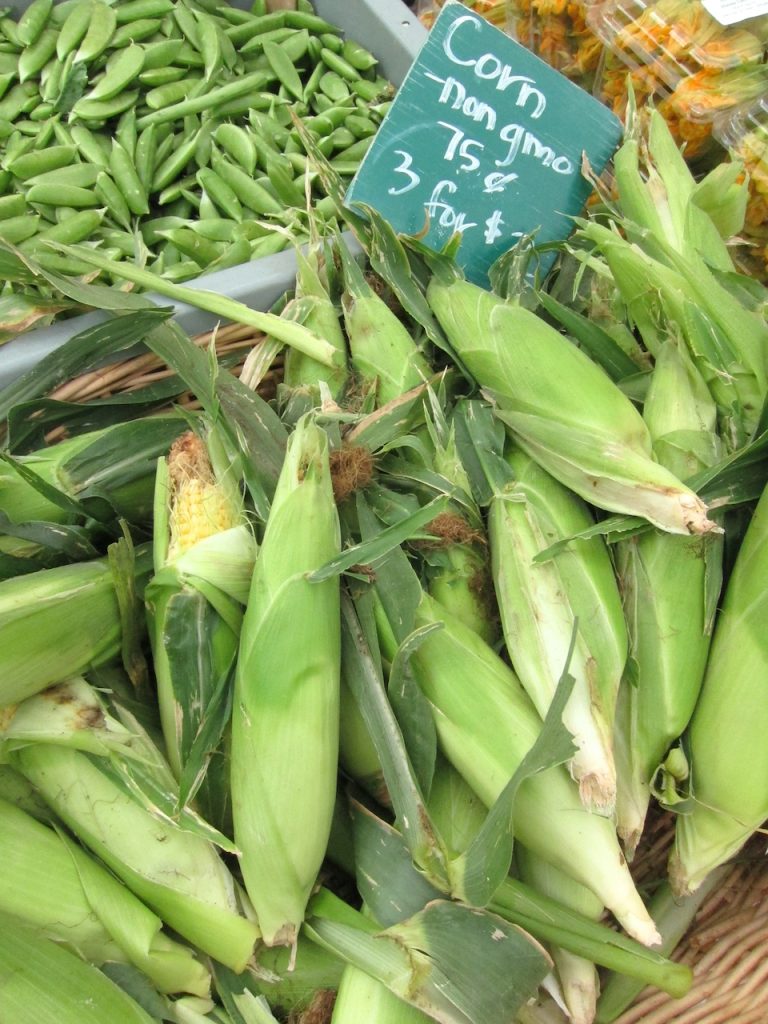 corn in husks