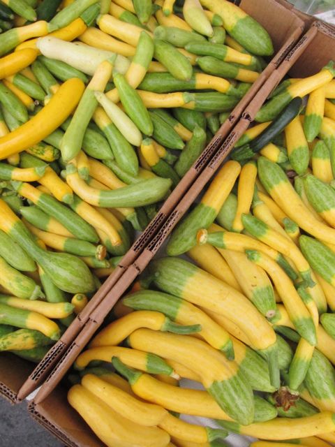 half green half yellow squash