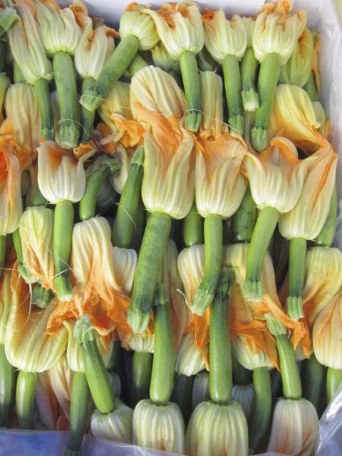 squash blossoms