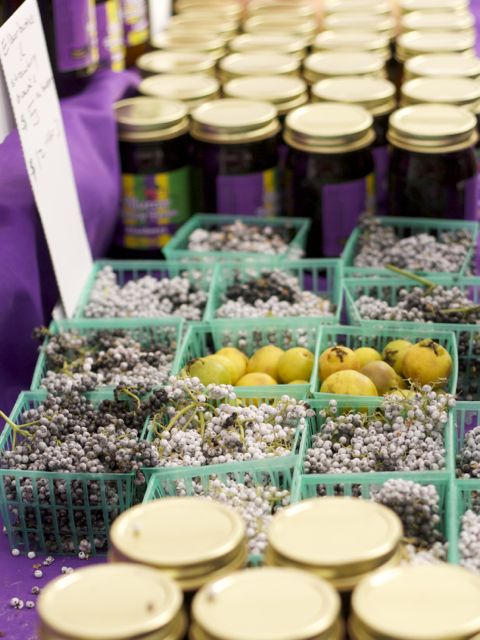 elderberries