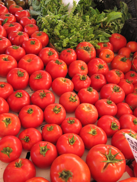 tomatoes