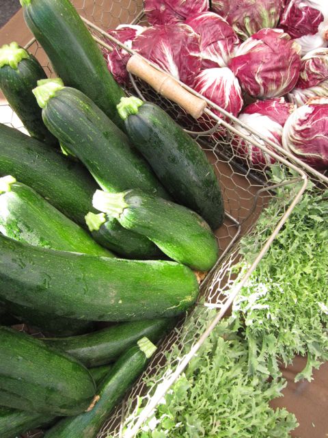 dark zucchini