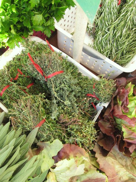 thyme
