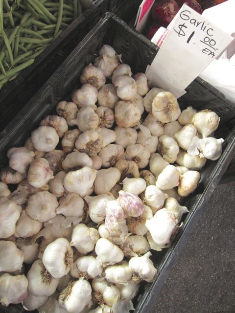 garlic