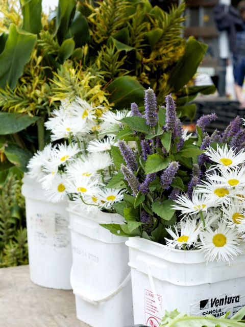 flowers at the farmers market