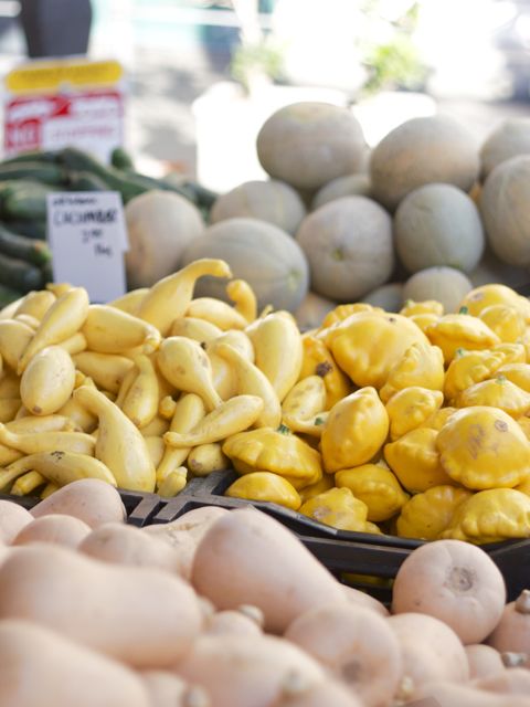 yellow squash