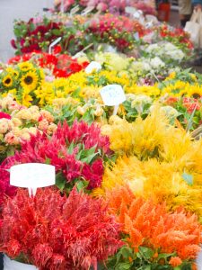 flowers at the farmers market