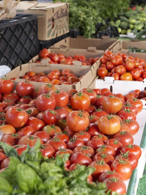 beefsteaks
