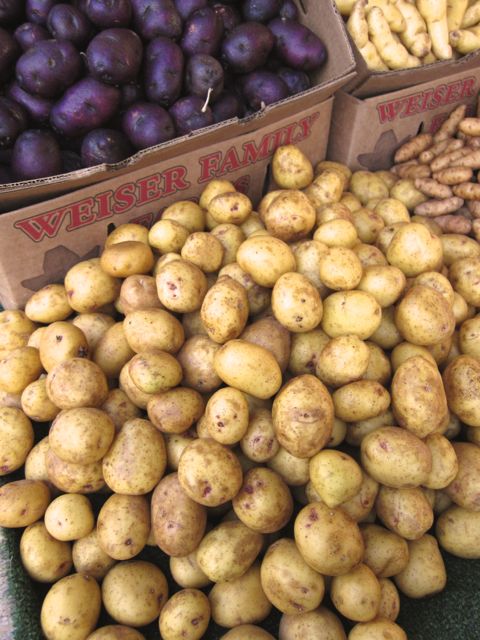 yukon gold