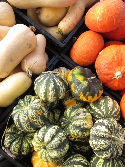 winter squash