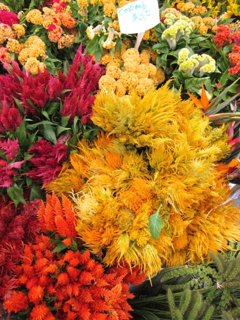 flowers