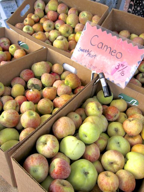 cameo apples