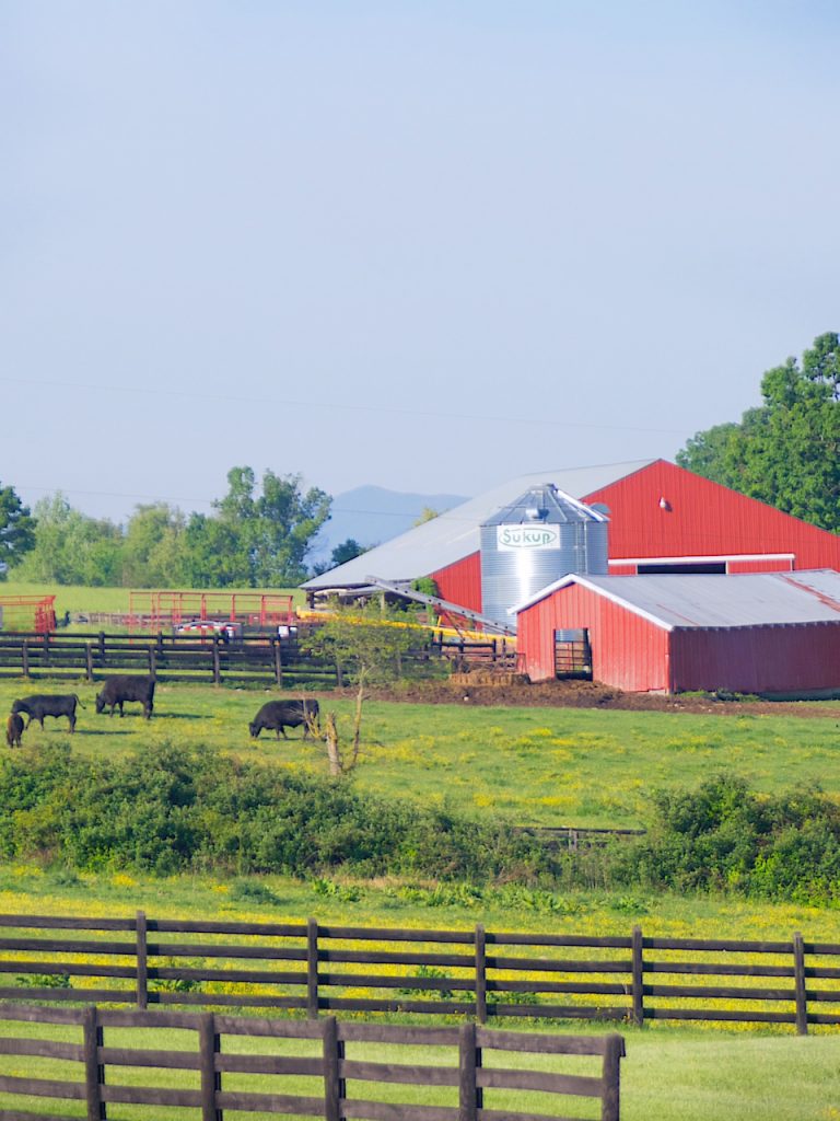 Virginia farm