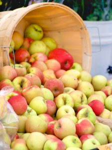 apples at the farmers market