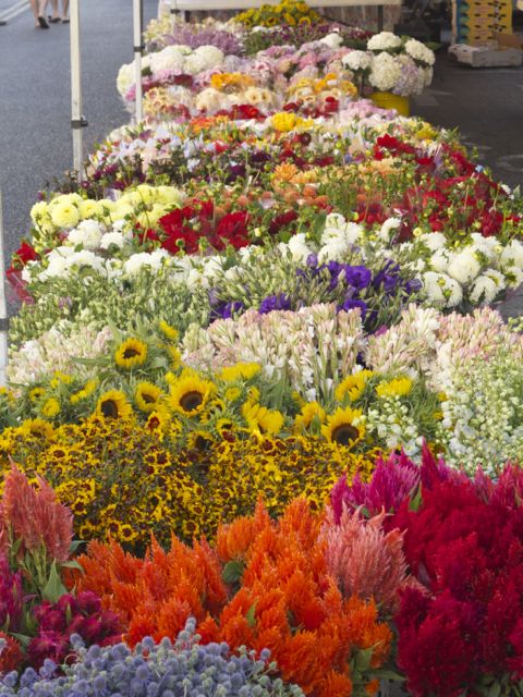 flowers