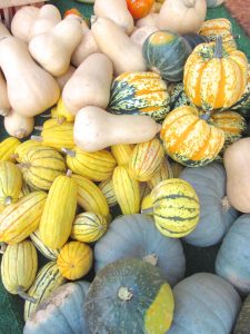 delicata squash, butternut, kabucha, touty fruity