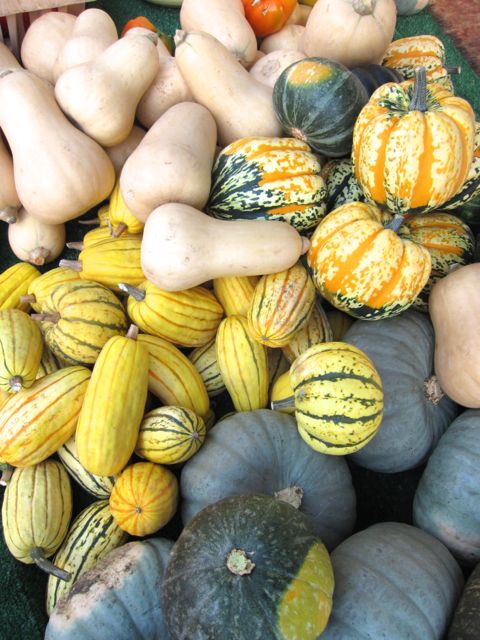 delicata squash, butternut, kabucha, touty fruity