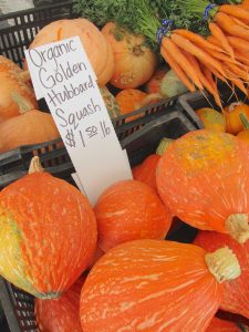 hubbard squash