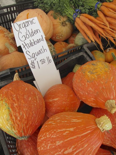 hubbard squash