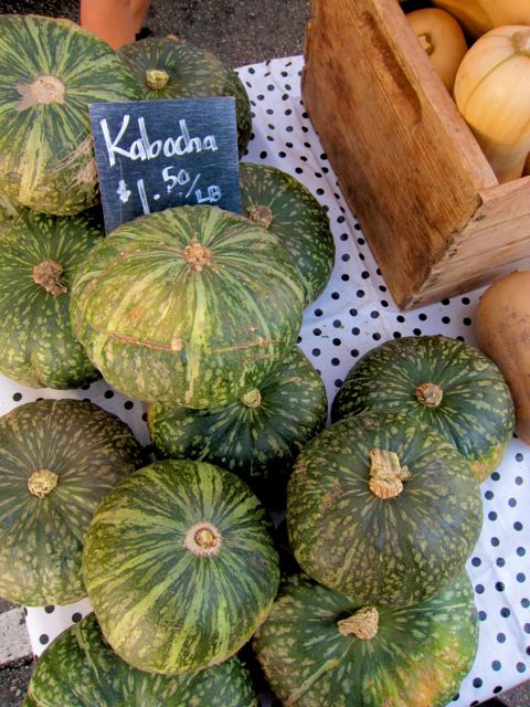 kabucha squash