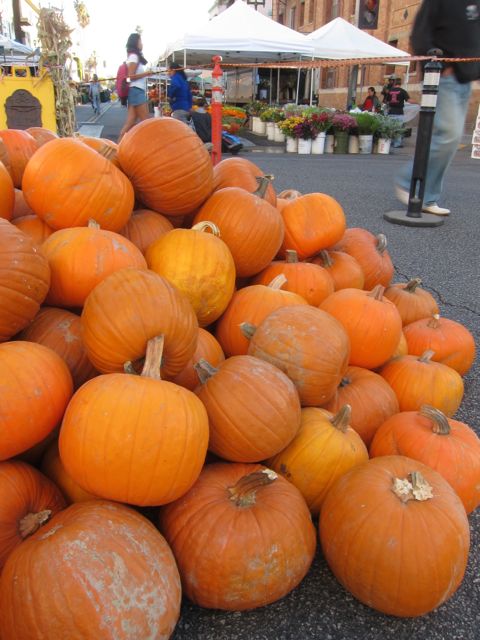 pumpkins